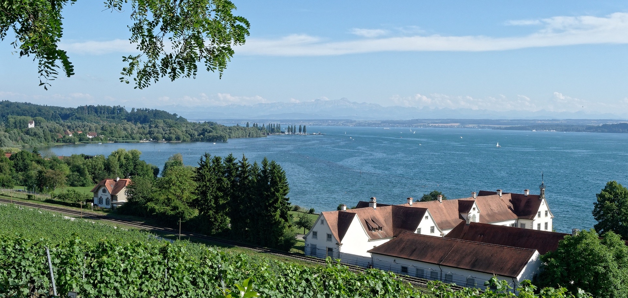 Slider Image 4